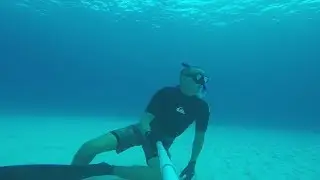 BELIZE 2019