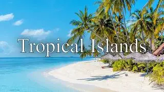 II3asyII - Tropical Islands