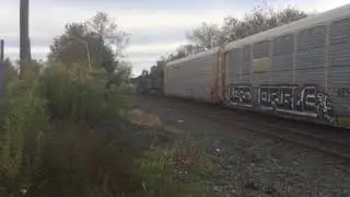 2 Csx trains in Pittsfield 12 mins