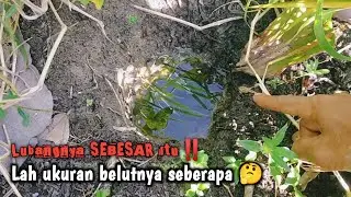 DI LUAR DUGAAN‼️MANCING SEBENTAR PANEN BELUT BESAR