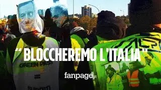 No Green Pass, i portuali Trieste: “Se il 30 non ritirano certificato blocchiamo tutto”