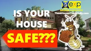 What are wood destroying pests?