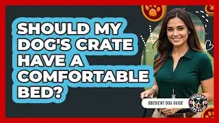 Should My Dog's Crate Have A Comfortable Bed?
