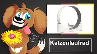 🐶 Katzenlaufrad – Empfehlungen und Kauftipps