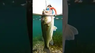 Boat Takes on Water and Bass😂😂 #shorts #fishing #fish