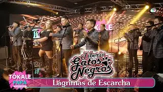 Tiberio y sus Gatos Negros - Lágrimas de escarcha (Video Oficial)