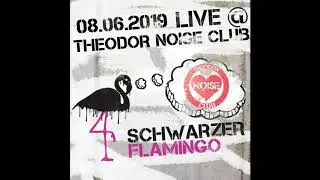 Schwarzer Flamingo Live @ Theodor Noise Club 08-06-2019