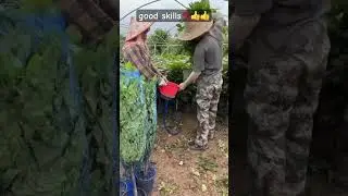 good skills💯👍 #respectworkers #funny #construction