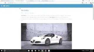 How to Create an Image Gallery in WordPress - AMPlus (AMP Wordpress Theme)