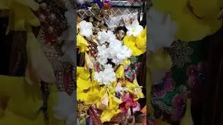 Radhe Krishna pushpa shringar #jhulan special #masalavlogs