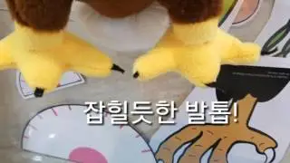 Dr. Song 독수리 오형제