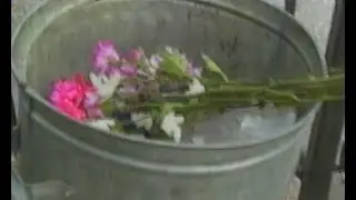 FIRST HATE ~ BEFORE [Official video]