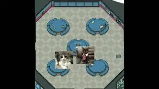 Larry the cat playing Among Us