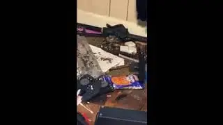 Scary Snake In House Video - Good Or Bad Meaning & What To Do ?