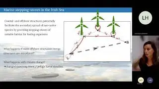 Modelling larval dispersal and gene flow: towards practical tools for management (Sophie Ward)