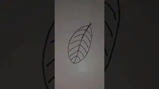How to draw guava leaf || drawing guava #shorts #shortviral #youtubeshorts #art