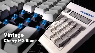 Chicony KB-5181 Mechanical Keyboard | Vintage Cherry MX Blue!