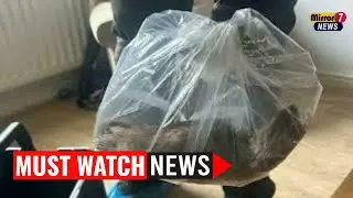 22-Inch Rat Found in Home Sparks UK-Wide Rodent Warning