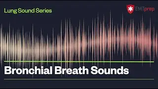 Bronchial Breath Sounds - EMTprep.com