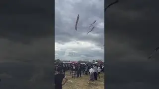 Biaung Kite festival #subscribe #jangganbali #layangan #shortvideo #budayabali #taksubali