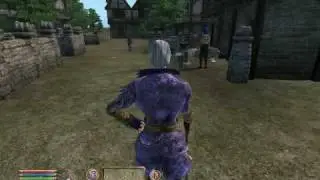 sheogorath attacks hawkhaven