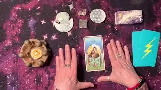 Animal Spirit Guide Group Card Reading--Wolf, Raccoon, and Beaver