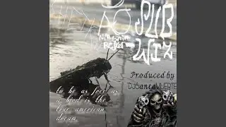 Introspective Reaper Shit (feat. Sub-Wiz)