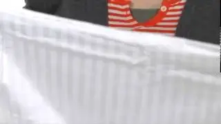 Elite Wrinkle Resistant Stripe Sheet Set 300 Thread Count - Queen  SKU : # 8106920
