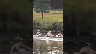 Synchronisation at its brilliant best❤#shorts# youtube#quickhands#Synchronisation#rowing#encanto