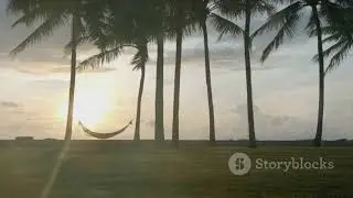 A Tranquil Journey  Bali Inspired Beach