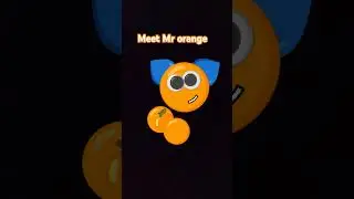 Mr orange