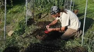 Grow your own food in a 5ft x10ft area.(Part 1) Self sufficient living. Regenerative Gardening
