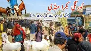 Korangi Bakra Mandi Latest Update in Karachi Cheapest Market 