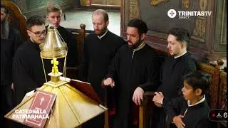 Antifoanele 1, 2 și 3 pe gl. 3