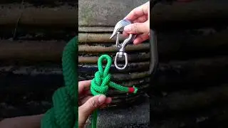 Double Dragon Loops Knot. #shortsvideo
