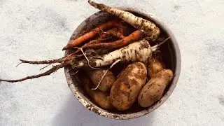Update: Primitive Underground Root Vegetable Storage.