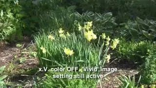 HFS200 Camcorder Test  1