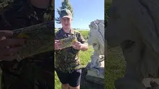 Najdi si n&aacute;boj z Prusko rakousk&eacute; v&aacute;lky #shorts #ww2 #czsk #history #viralvideo