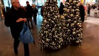 Tannenbaum in Ludwigsburg/Albero di Natale a Ludwigsburg/Ёлки, Л.-бург/Kar&aacute;csonyf&aacute;k Ludwigsburgban
