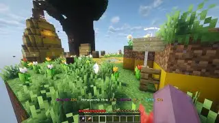 Shard Seekers #14 - Honeycomb Hive | Minecraft Map
