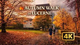 Autumn Walk in Luzern 🇨🇭 | Everyday Life in a Quiet Swiss Neighborhood 4K