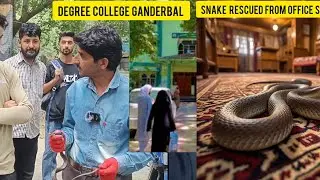 Snake rescued safely from the office of degree college ganderbal || Wildlife manzoor || 9541619331