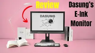 Is Dasung's Paperlike253 the BEST E Ink Monitor for Productivity?