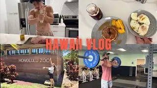 Hawaii daily routine video