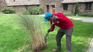 Gardener's Almanac: Sept. 14-Dividing Perennials