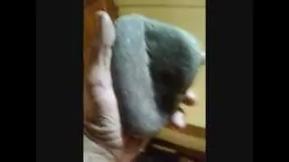 STONE ZONE.wmv