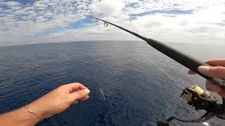 Yellowfin Tuna fishing fail!