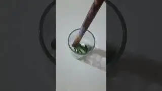 just create your art | color mixing | green #colormixing #createcontent