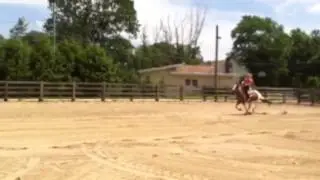 Barrel dash
