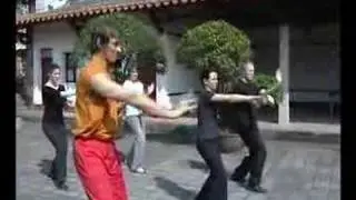 Chinese TV Report - Nan-Shaolin Hamburg & Yong Chun White Crane Boxing Xiaode Research Institut